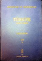 Yerel kapak resmi