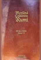 Yerel kapak resmi