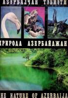 Yerel kapak resmi