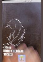Yerel kapak resmi